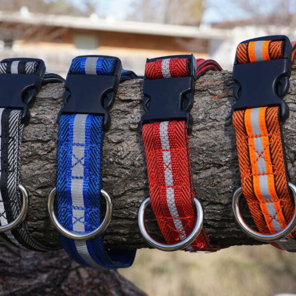 pack goat collar