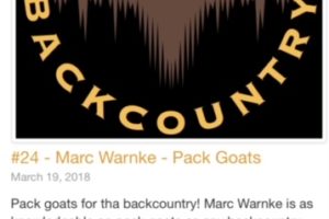 All Things Pack Goats