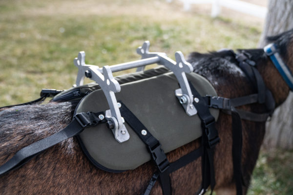 pack goat saddle