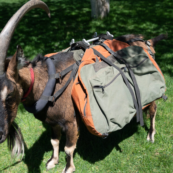 Large Pack Goat Panniers