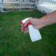How To Train a Goat With a Squirt Bottle