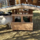 Horned Goat Feeder Plans