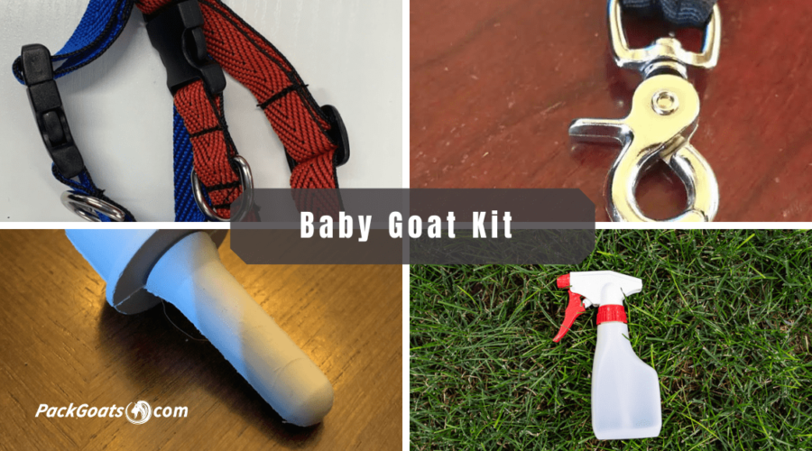 Baby Goat Kit