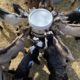 How to Bottle Feed Baby Goats