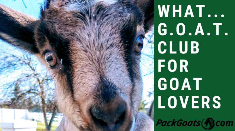 Club Membership for Everything Raising Goats