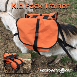 Kid Trainer Pack