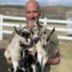 3 Things New Goats Owners Must Know