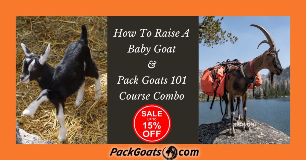 Baby Goat and Pack Goat Course Bundle