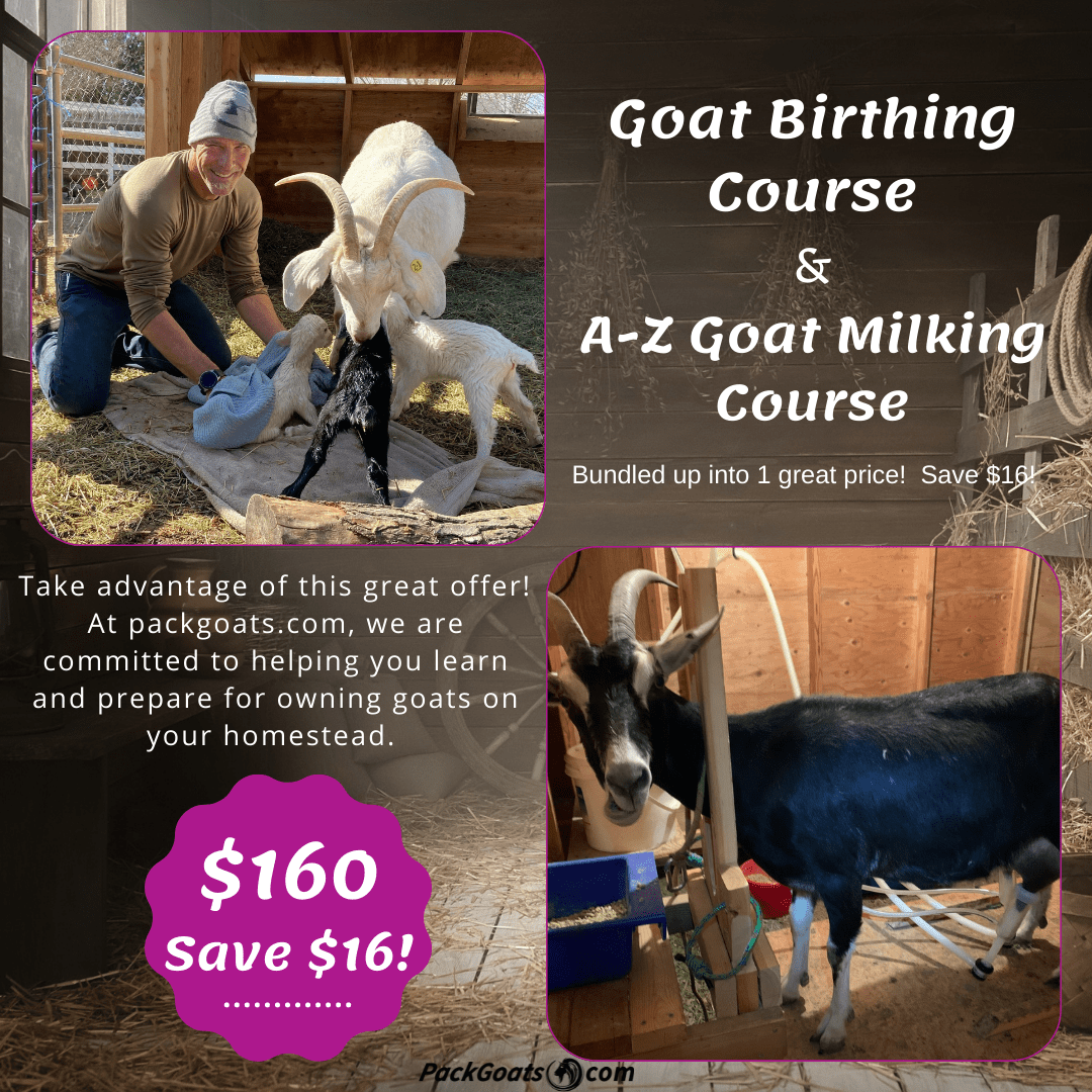 Goat Birthing Course & A-Z Goat Milking course Combo Goat Birthing Course & A-Z Goat Milking Course