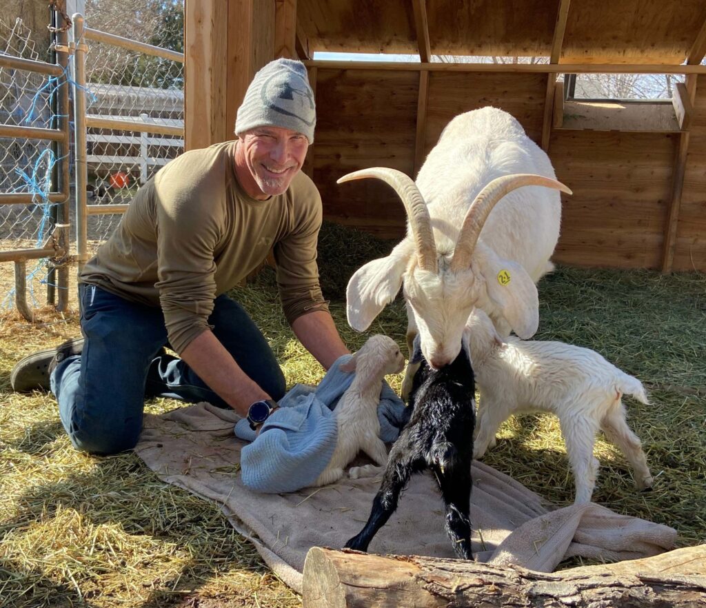 Goat Birthing Course