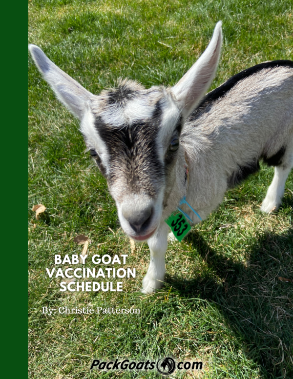 Baby Goat Vaccination Schedule Guide