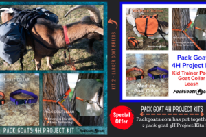 Pack Goat $H Project Kits