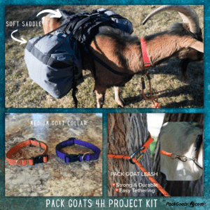Pack Goat 4H Project Kit