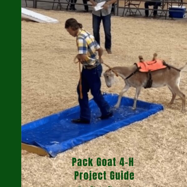 Pack Goat 4-H Project Guide