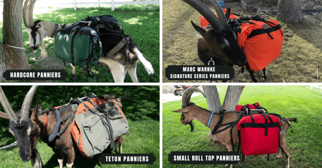 PANNIERS Panniers