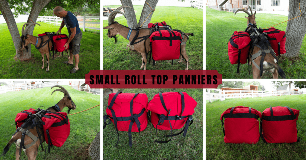 SMALL ROLL TOP PANNIERS