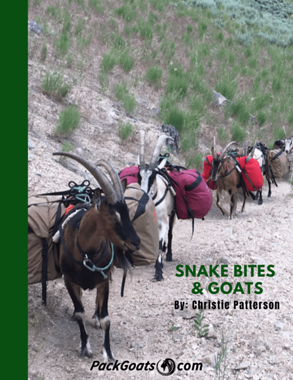Snake Bites & Goats PDF Guide