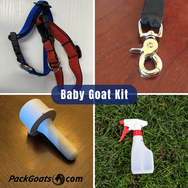 Baby Goat Kit