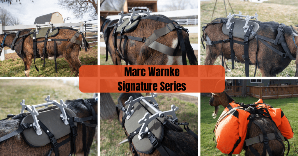 Marc Warnke Signature Series