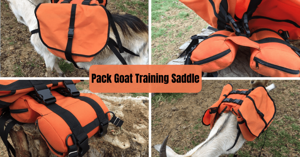 Pack Goat Training Saddle