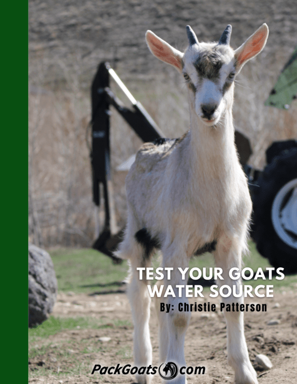 Test Your Goats Water Source Guide
