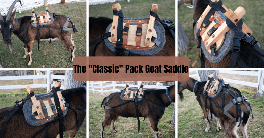 The Classic Pack Goat Saddle