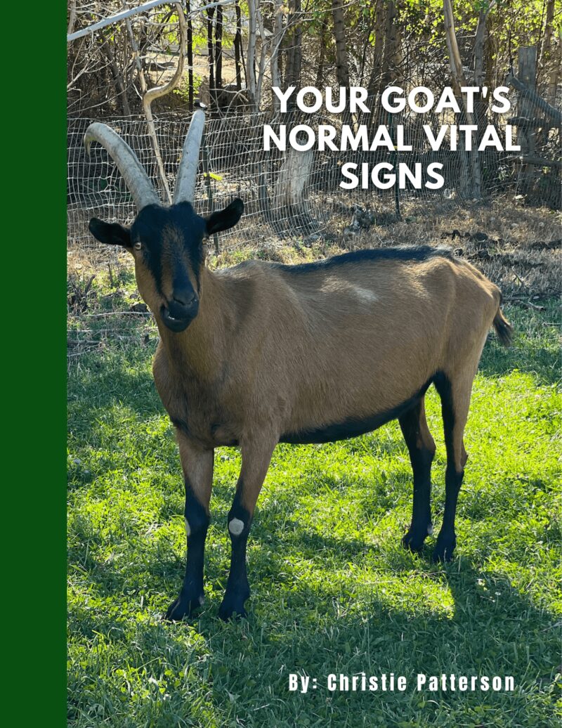 Your Goat's Normal Vital Signs